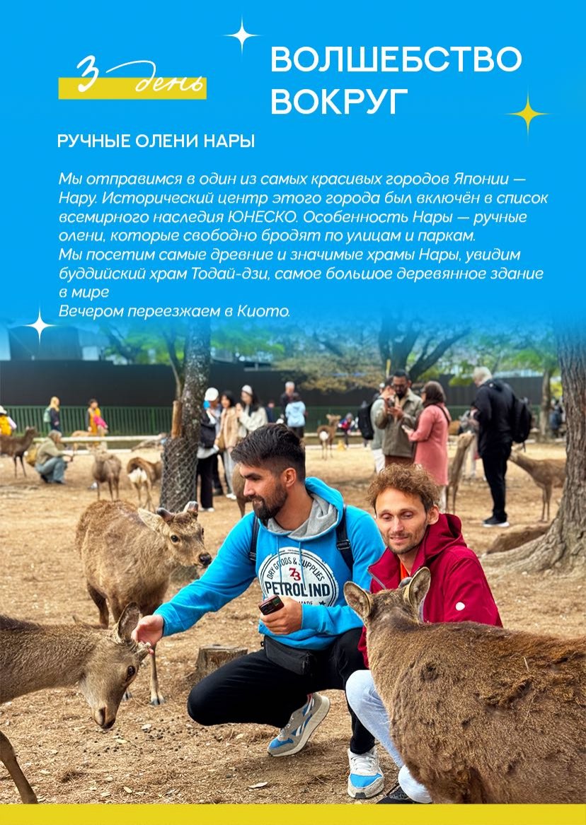 Презентация тура — страница 9