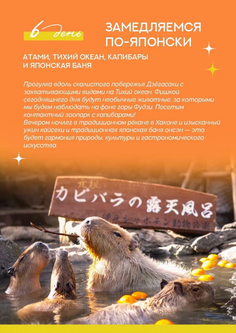 Презентация тура — страница 12