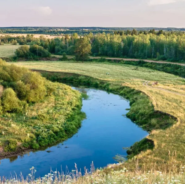 Река Лоза