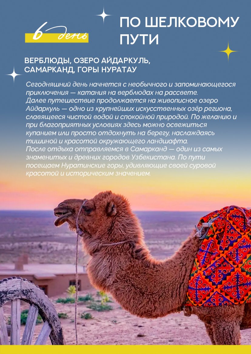 Презентация тура — страница 12